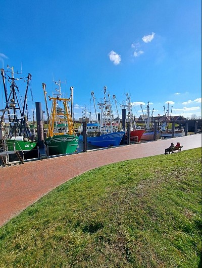 Kutterhafen von Ditzum